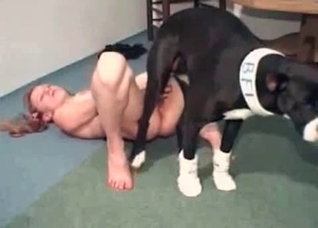 Amateur getting fucked hard by a dog