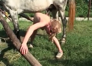 Outdoors gape with a hung horse