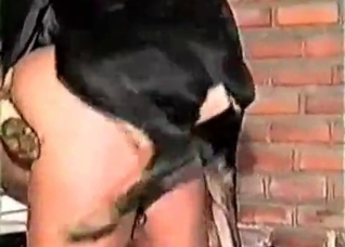 Dirty dog drilling that hole from behind