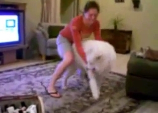 Big white dog seducing a horny slut