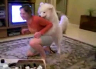 Big white dog seducing a horny slut