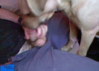 Dude jerks his cock in front of his dog