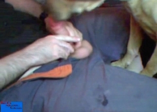 Dude jerks his cock in front of his dog