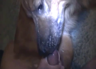 Close-ups in a hardcore zoo video