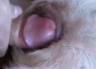 Incredible fingering and fucking for a bitch