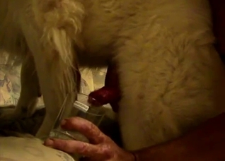Intense bestiality action you'll love