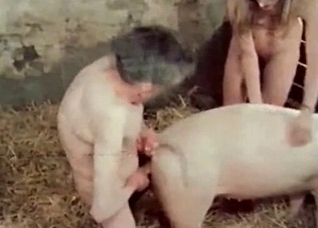 Pig is gonna steal the show here