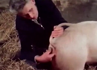 Pig is gonna steal the show here