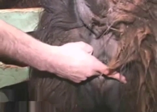 Dude cannot wait to finger that hole