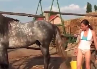 She cannot stop sucking horse's hot cock