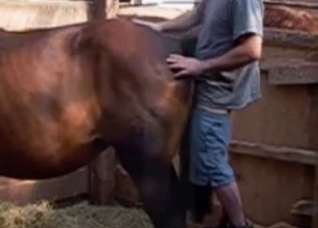 Dude fucking a very large animal