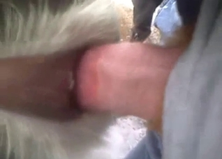 Amazing close-up action with a zoophile