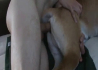 Dude fucking his horny dog sideways